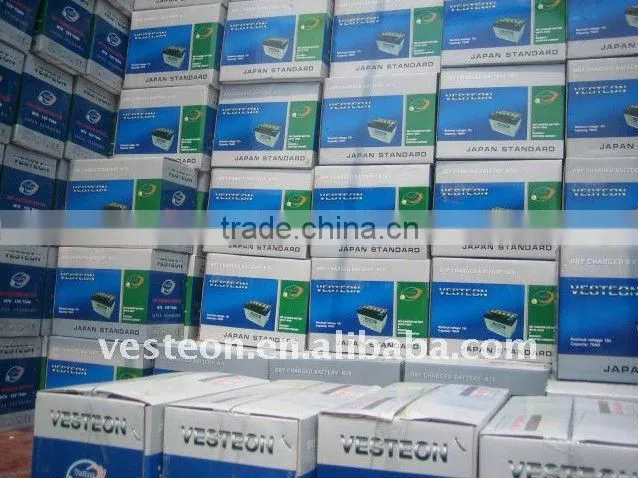 auto battery N60
