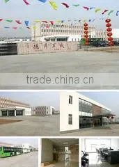 Inner Mongolia Desheng Cashmere-Wool Products Co., Ltd. company overview - view 1