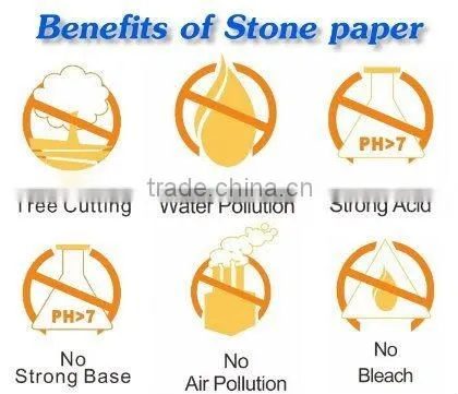 Stone Paper Bag