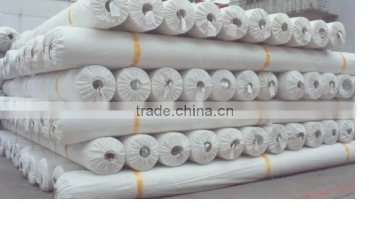 Waterproofing membrane/waterproof membrane/waterproof material HDPE geomembrane