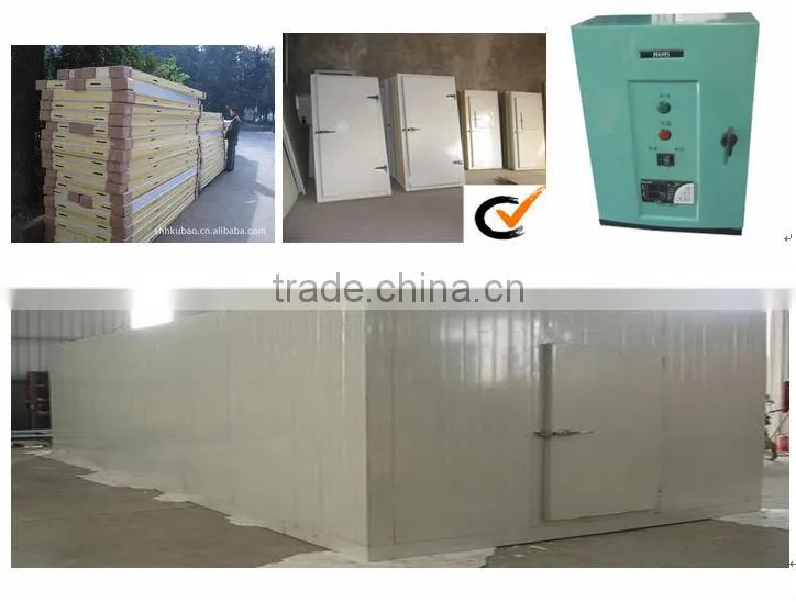 -18degree 15m3 fruit Cold Storage