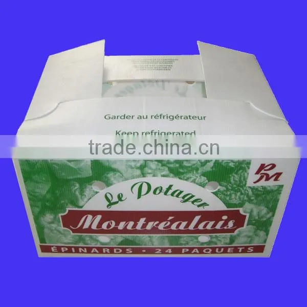 Corrugated Plastic Storage Box for fruit