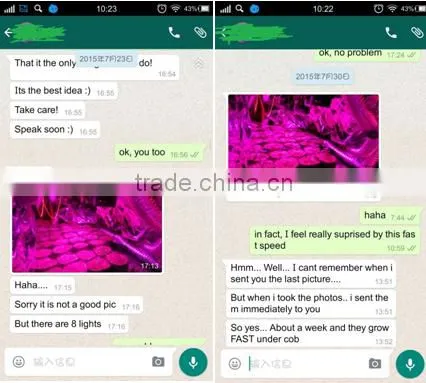 Full spectrum 12 band led grow light 32x3w plant growth led light