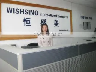 Wishsino Plastic Metal Limited(Shenzhen) company overview - view 3