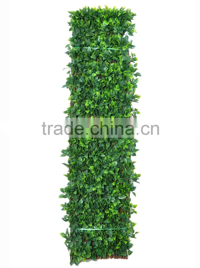 Garden trellis