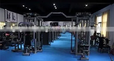 Cardio Equipment /Gym machine/commercial Stepper YD-6801