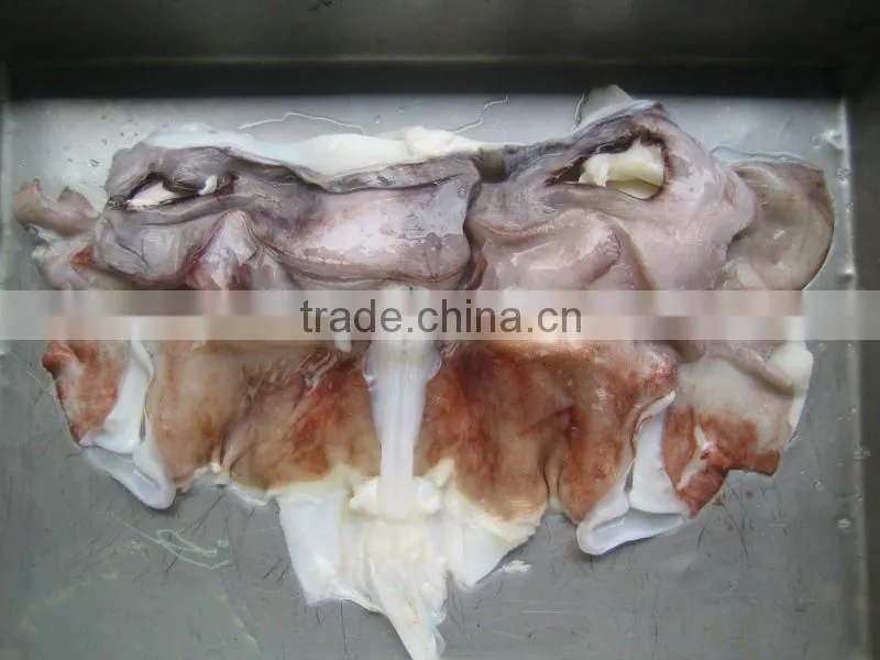 Frozen Giant Squid Neck