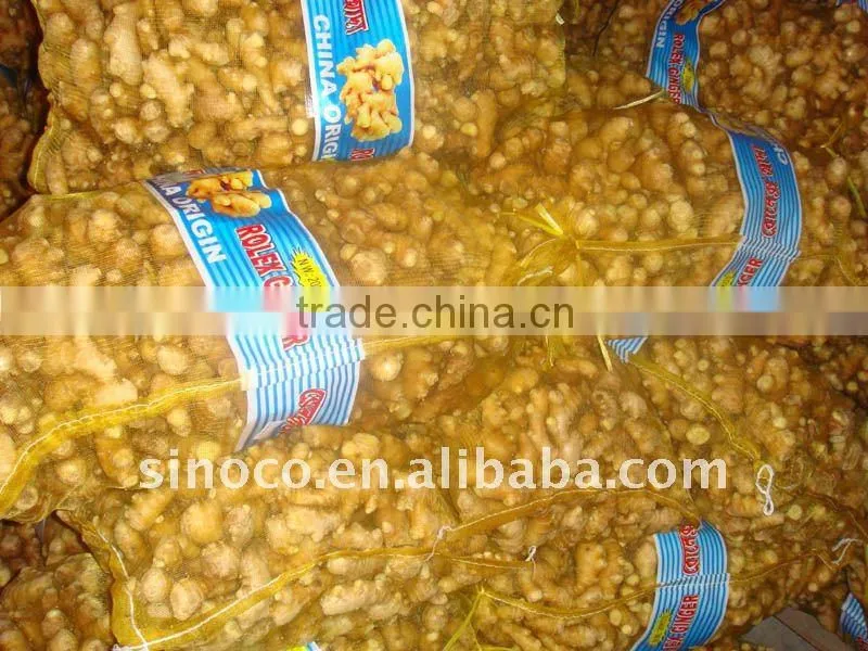 Fresh Ginger export