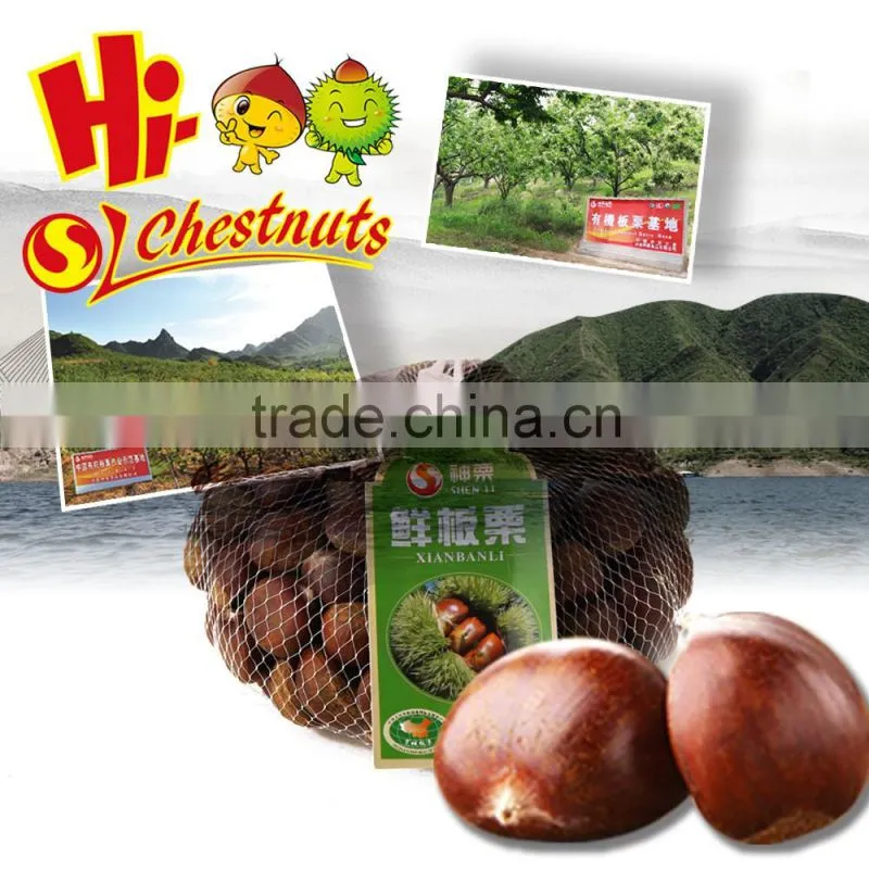 Organic Chinese Dried Chestnuts for sale