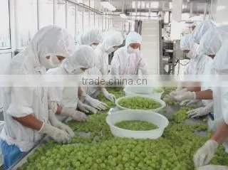 Yantai Kangleda Food Co., Ltd. company overview - view 3