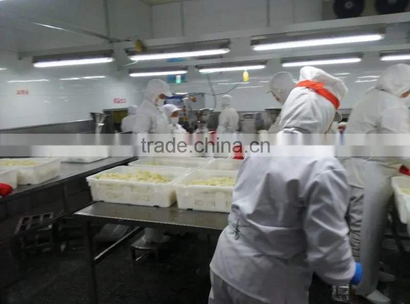 New crop frozen iqf cauliflower