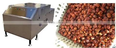 Red Dates Kernel Extractor Machine|Iraq Dates Seed Removing Machine|Red Dates Kernel Pitting Machine
