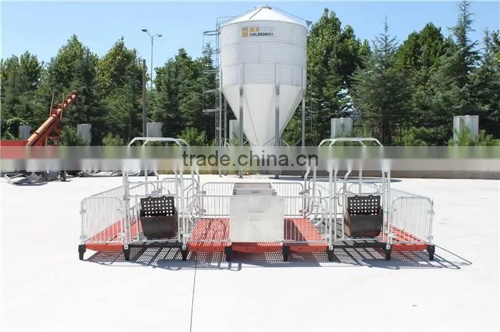 Goldenest High quality cheap price automatic farrowing crate for pigs sow sty farming equipment for sale