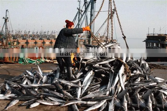 fishmeal