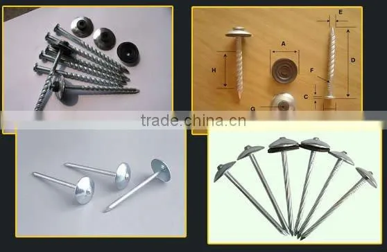Galvanized Screw Shank Roofing Nails