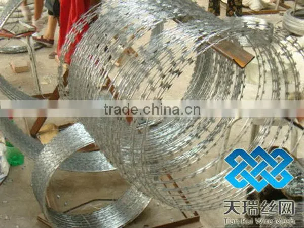 razor barbed wire/concertina wire for sale
