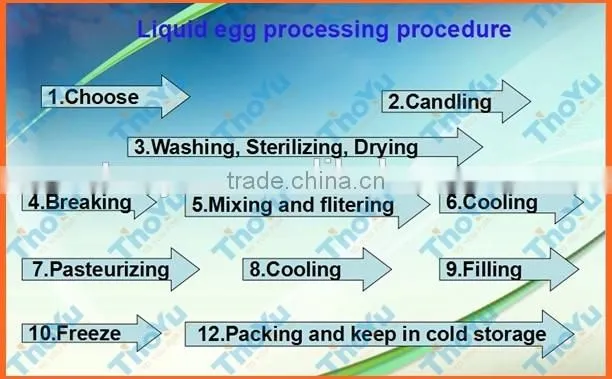 Egg yolk white separate machine / Egg shell breaking in alibaba SMS:0086-15238398301