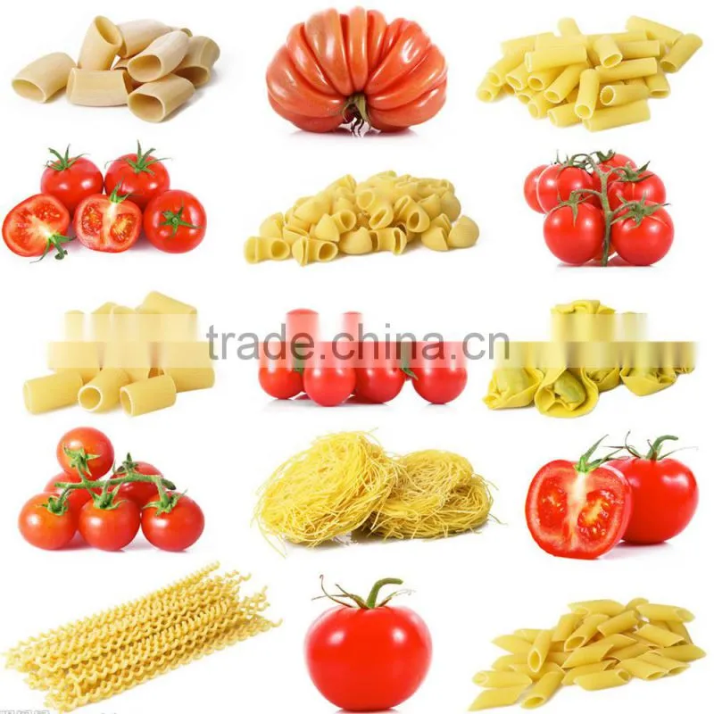 pasta making machine factory manufacture price