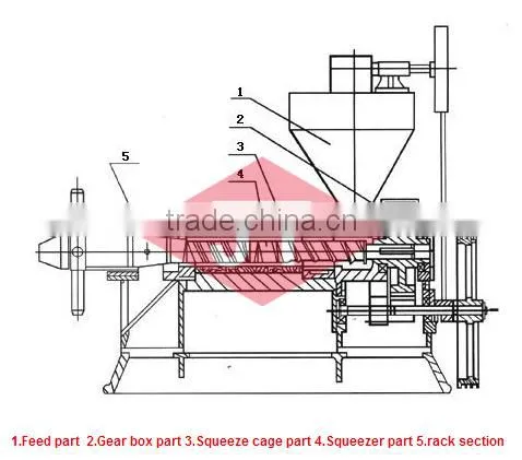 new tech health cold almond oil express machine/cold oil express machine