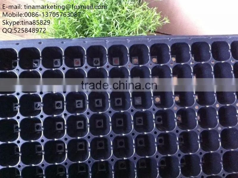 Black PS Material 105 cells Blister Process Plastic Plant Nursery Seed Plug Trays for Propagation