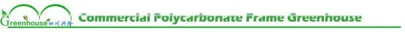 Multi-span Agricultural Greenhouses Type And Pc Sheet Cover Material Greenhouse For Tomato