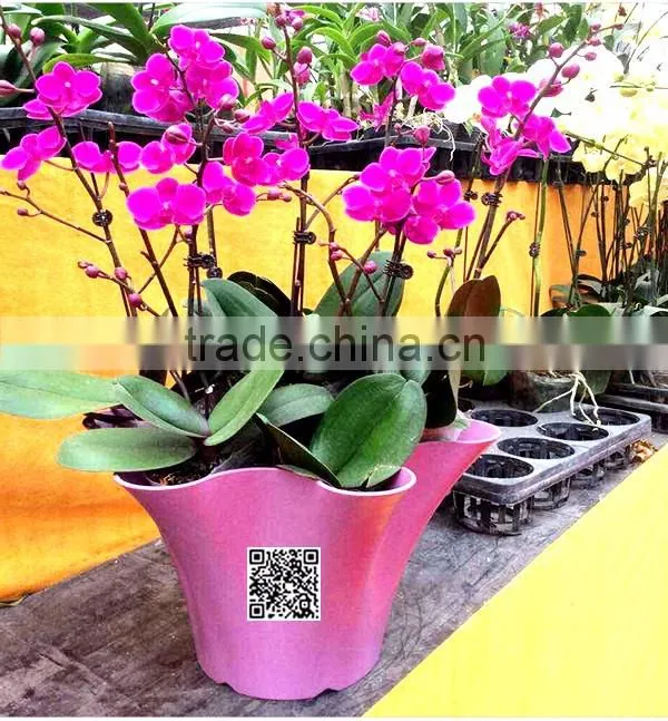 360*200 Biodegradable Colorful Plant Flower Pot Eco Planer