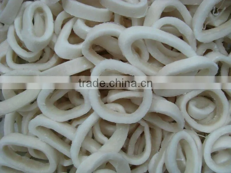 Calamari anello