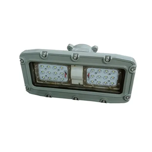 explosion proof LED laneway light (1)