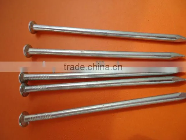 COMMON NAIL