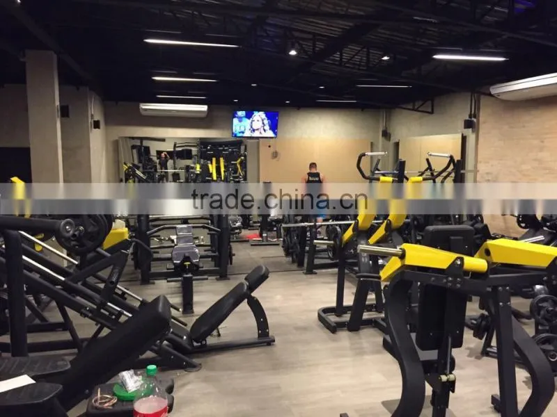 Pure Strength Gym Equipment/Hammer Strength Machine TZ-6069 Plate Tree/Shandong Tianzhan