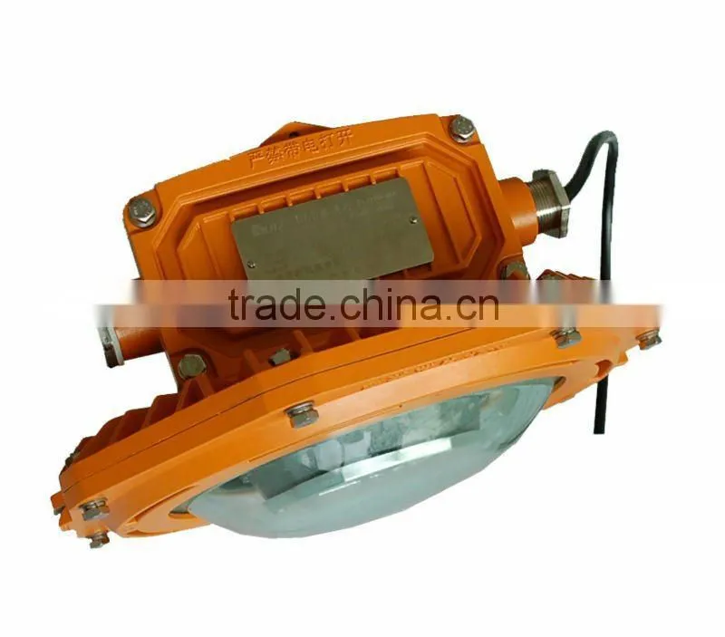60w Explosion Proof LED Floodlight with 2 years warranty
