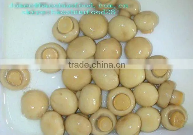 IFS Approval Canned Whole Mushroom