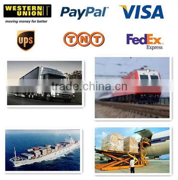 home solar use dc to ac 3 phase 15kw inverter 24V 220volts for India market