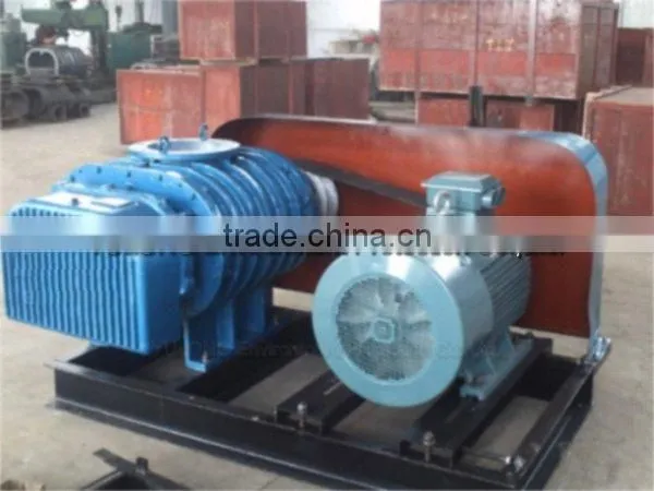 Roots Blower for aeration system