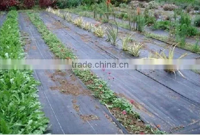 Black polypropylene woven fabric