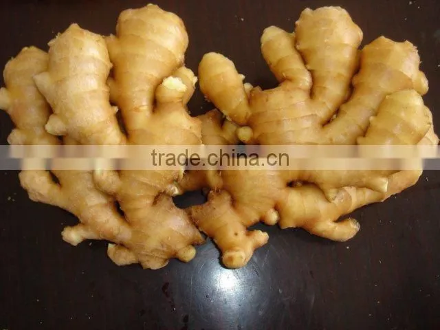 dehydrated ginger slice made in China