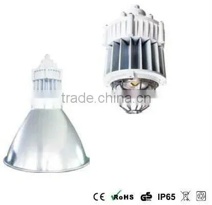 20 W-50 W LED Explosion Proof Light (IP65) courtyard light Laneway Light