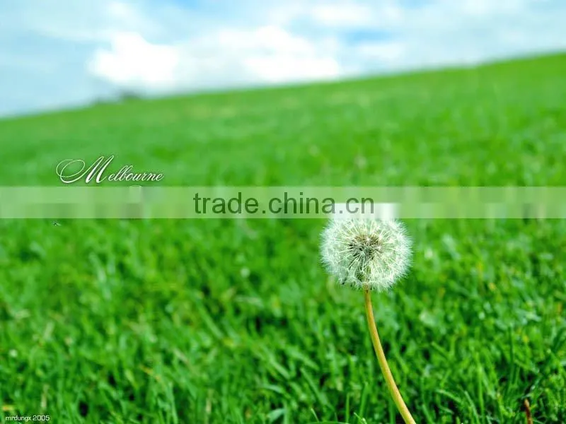 inkjet print clear adhesive pvc vinyl