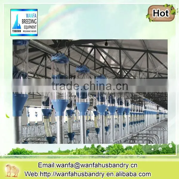 Complete controlled Poultry Equipment for Pig Raising