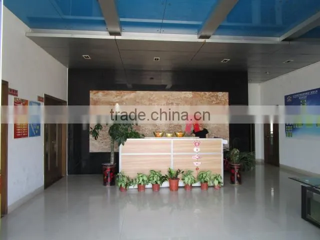 Jiangmen Dianyi Display System Manufactory Co., Ltd. company overview - view 3