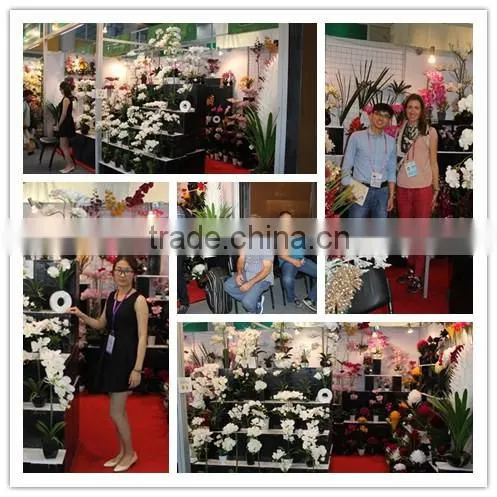 New Design Real Touch Artificial Single Flower