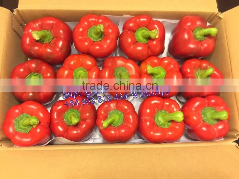 FRESH SWEET BELL PEPPER
