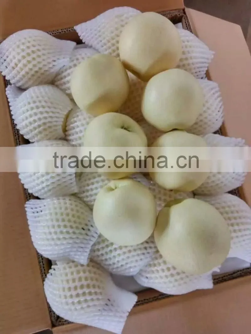 fruits south africa pear fruit