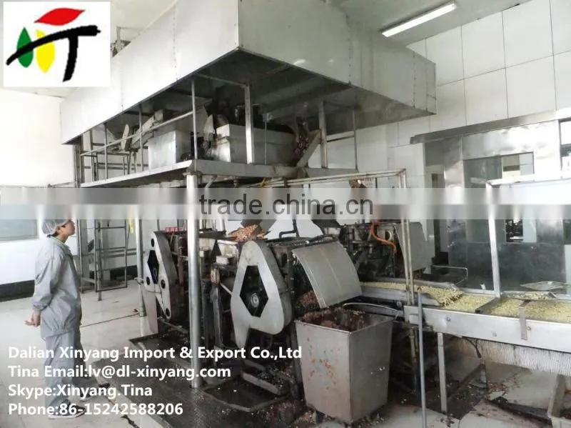 shandong coated peanut/coated peanut processing/japanese coated peanuts