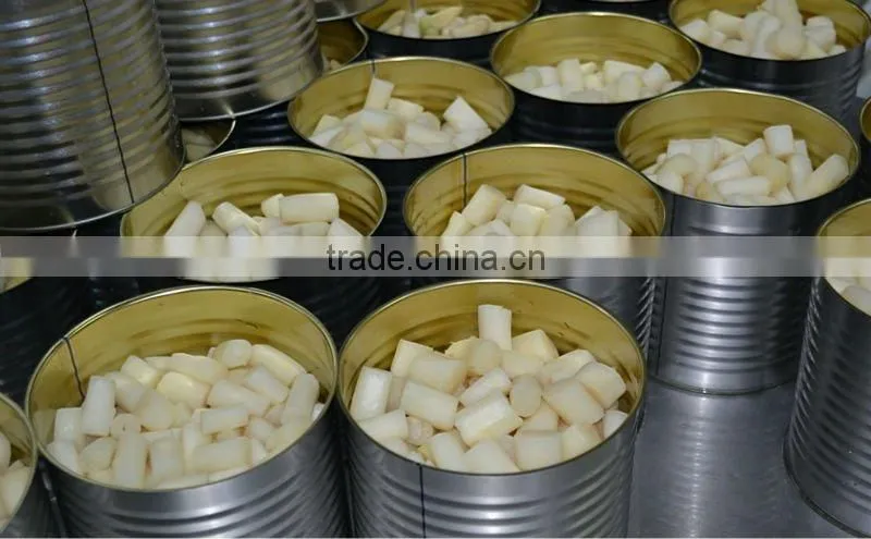 Canned white Asparagus 12jars/370ML