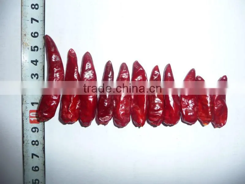 Chinese Exported Dry Red Whole Bullet Chilli