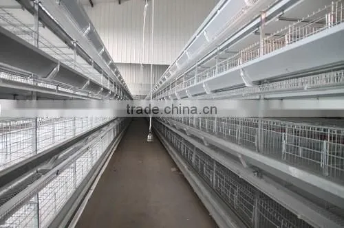 H- type 3 tiers hot -drip Galvanized layer chicken battery cage