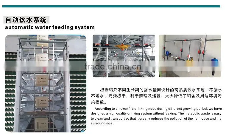 layer quail cage for sale & layer quail cage for poultry farm equipment