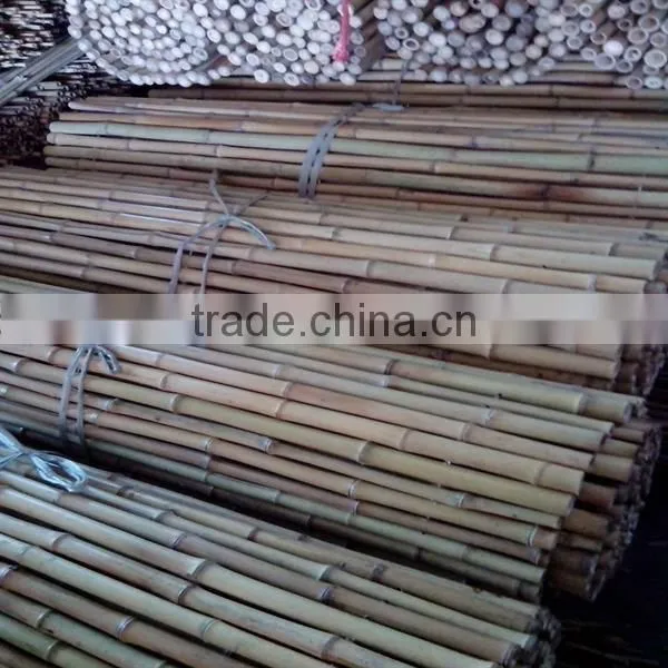 Bamboo stake for support flower ,oloive trees ,tomatoes ,pepper