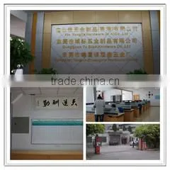 Dongguan Tangxia Shuangxin Hardware Products Factory company overview - view 1